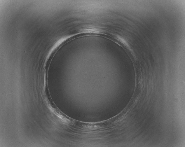 X0000078021323200611101837