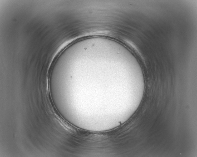 X0000078021324200611101837