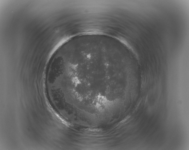 X0000078021325200611101837