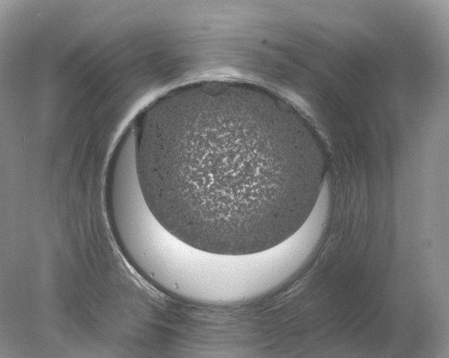 X0000078021326200611101837