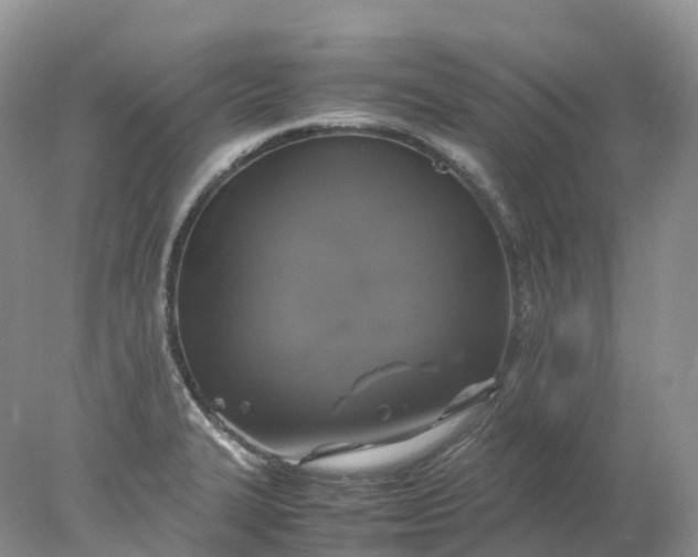 X0000078021327200611101837