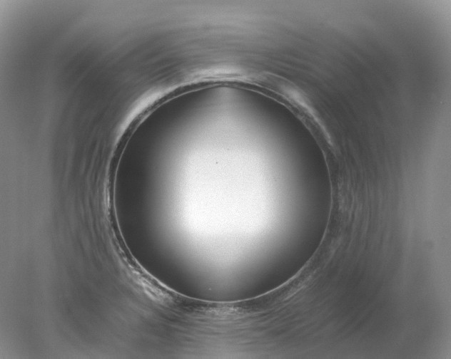 X0000078021328200611101837