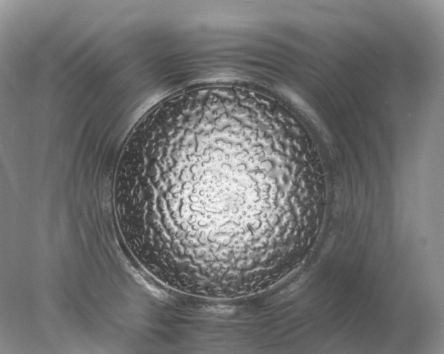 X0000078021329200611101837