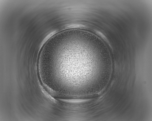 X0000078021330200611101837