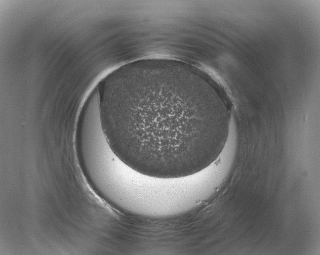 X0000078021331200611101837