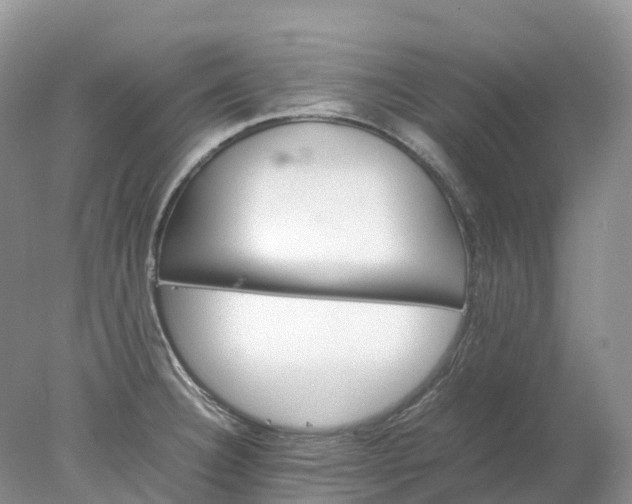 X0000078021332200611101837