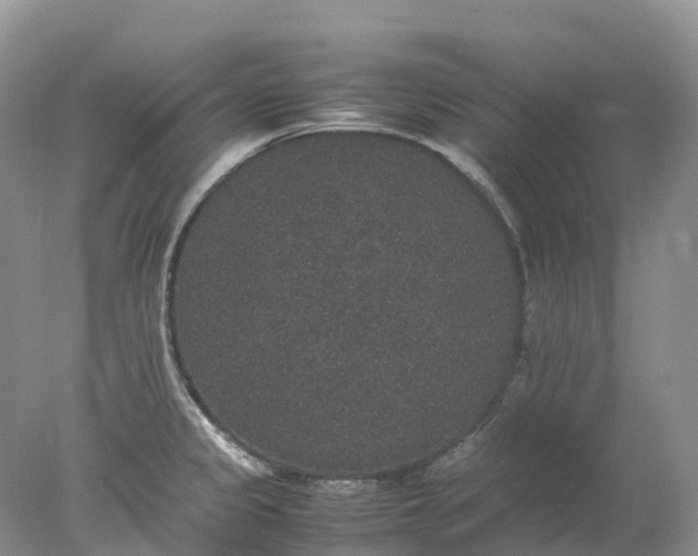 X0000078021333200611101837