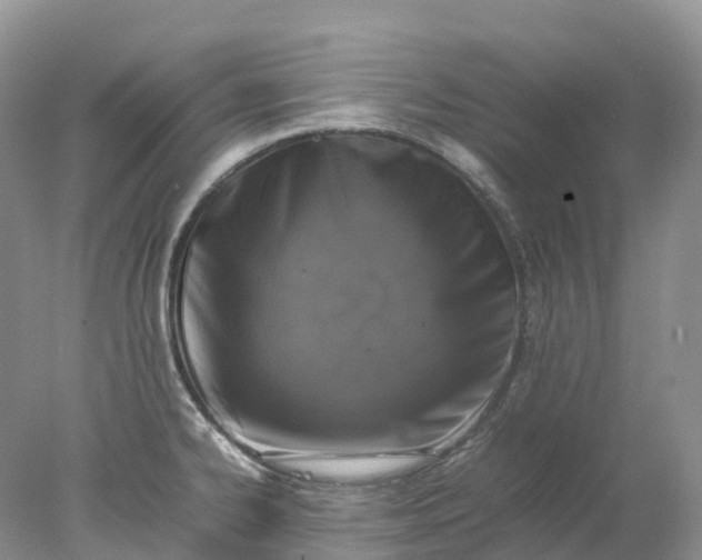 X0000078021334200611101837