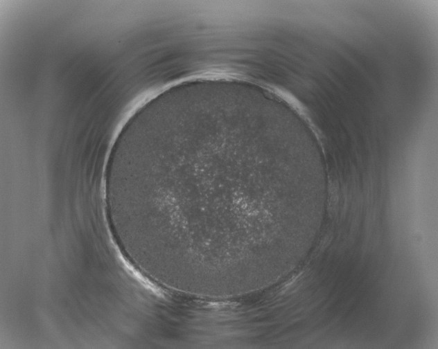 X0000078021335200611101837