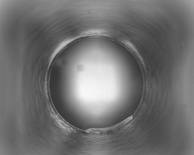 X0000078021336200611101837