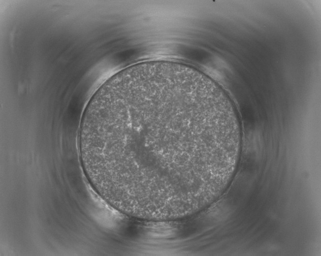 X0000078021338200611101837