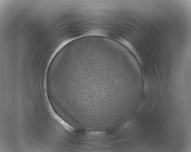 X0000078021339200611101837