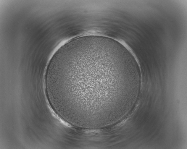 X0000078021341200611101837