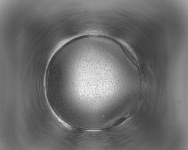 X0000078021343200611101837