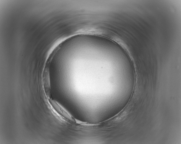 X0000078021344200611101837