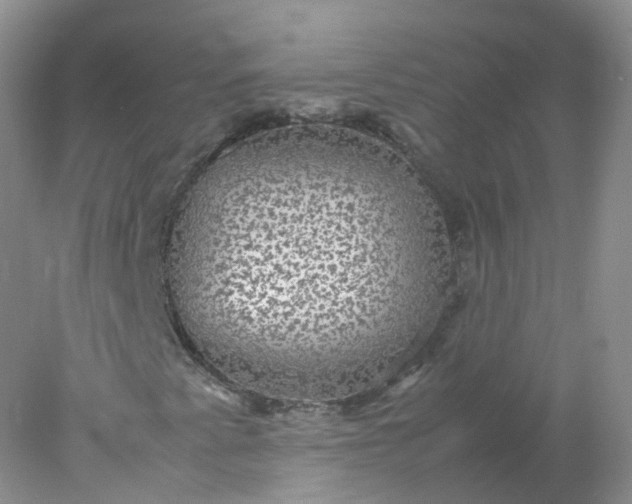 X0000078021345200611101836