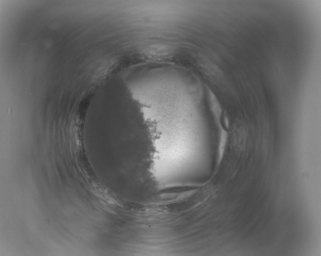 X0000078021346200611101836