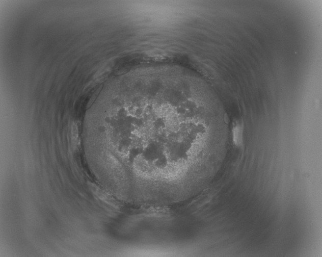 X0000078021347200611101836