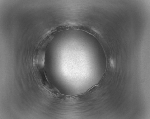 X0000078021348200611101836