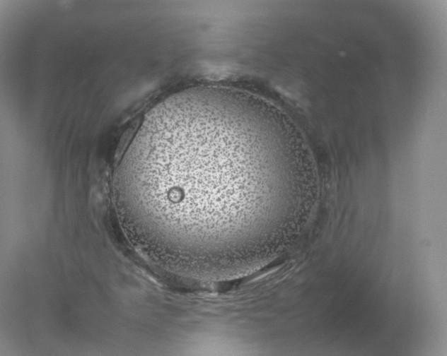 X0000078021349200611101836