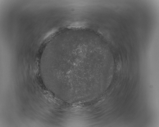 X0000078021350200611101836