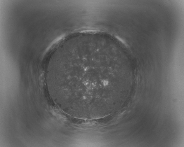 X0000078021351200611101836