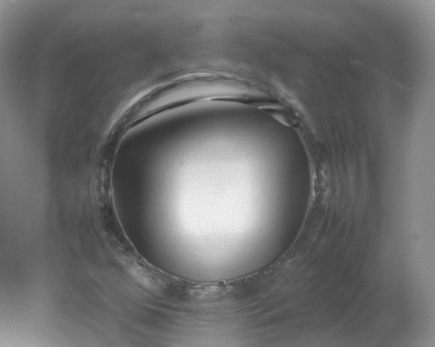 X0000078021352200611101836