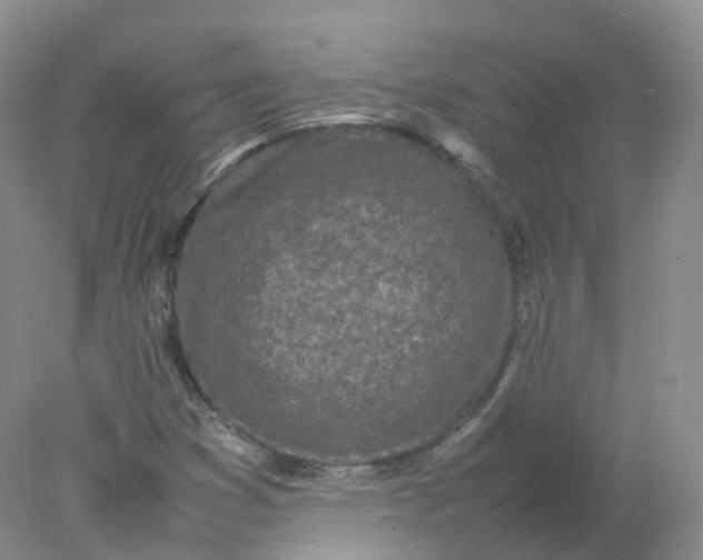 X0000078021353200611101836