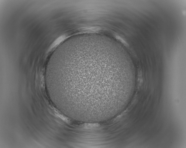 X0000078021354200611101836