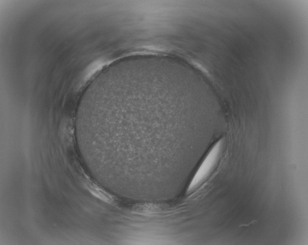 X0000078021355200611101836