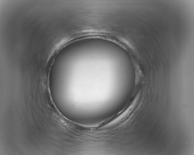 X0000078021357200611101836