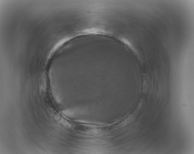 X0000078021358200611101836