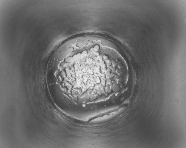 X0000078021359200611101836