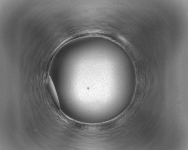 X0000078021361200611101836