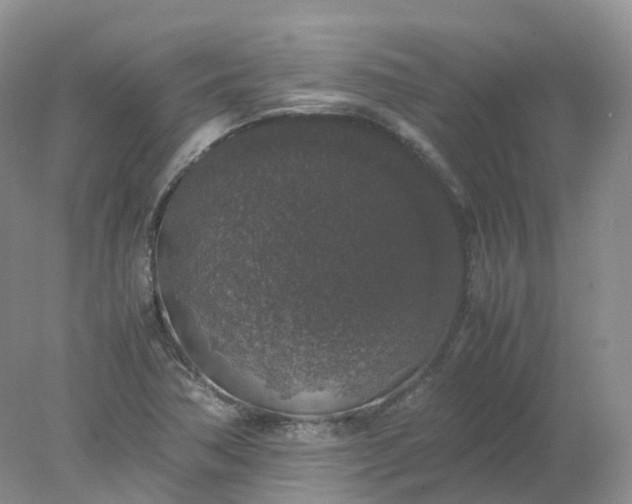 X0000078021362200611101836