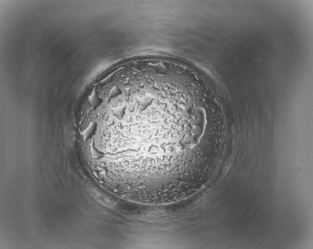 X0000078021363200611101836