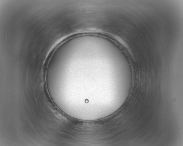 X0000078021364200611101836