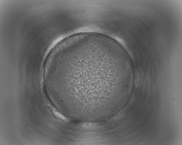 X0000078021366200611101836