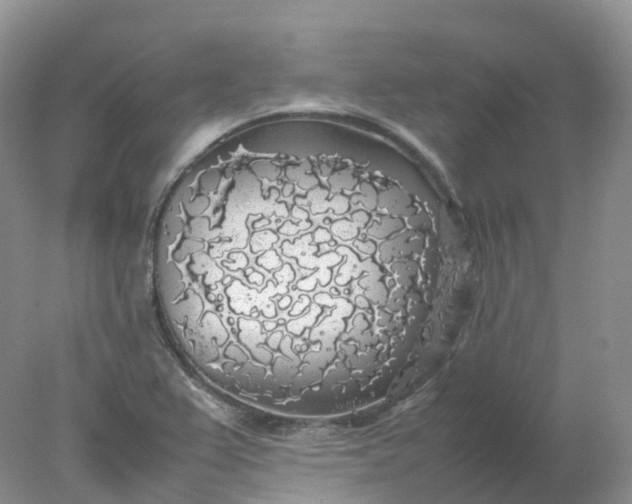 X0000078021367200611101836