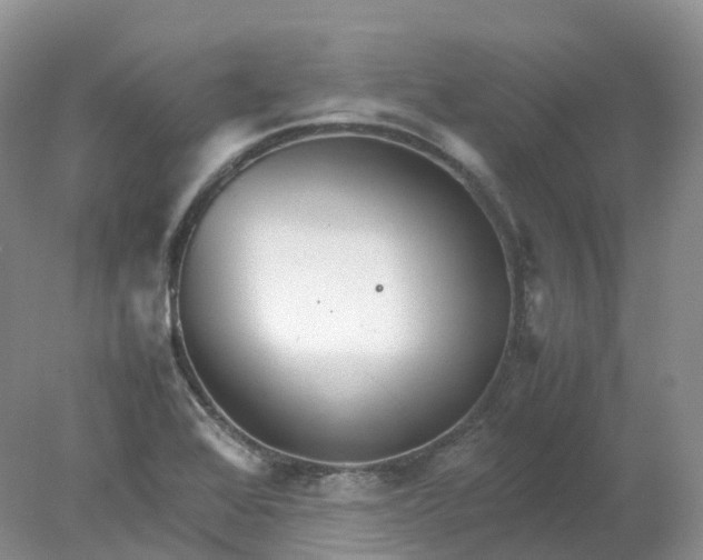 X0000078021368200611101836