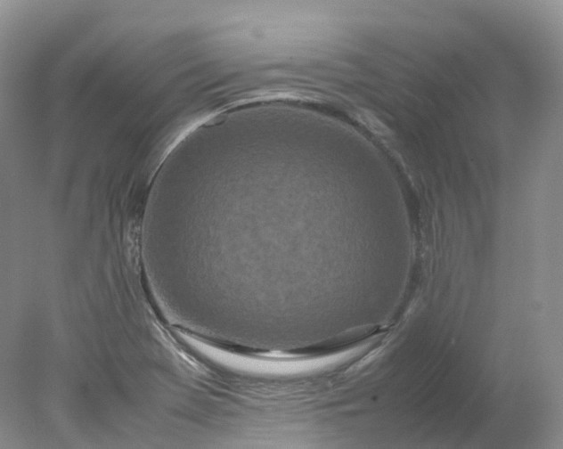 X0000078021369200611101836