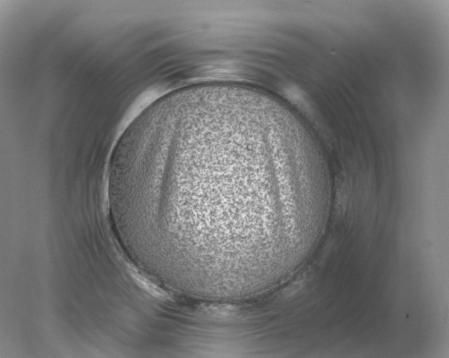 X0000078021370200611101836