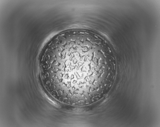 X0000078021371200611101836