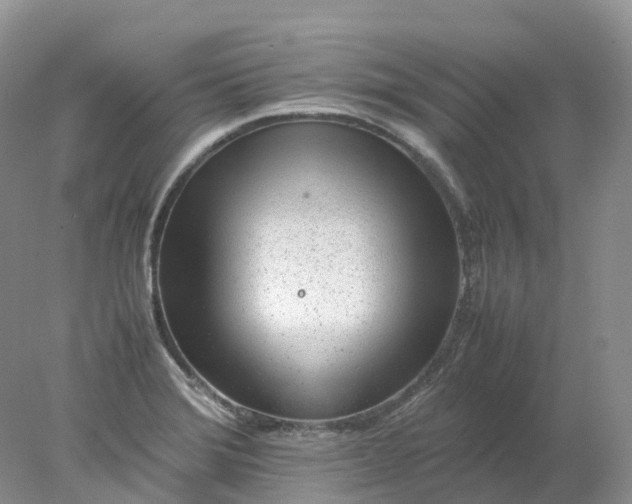 X0000078021372200611101836