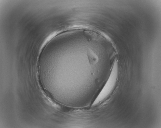 X0000078021373200611101836