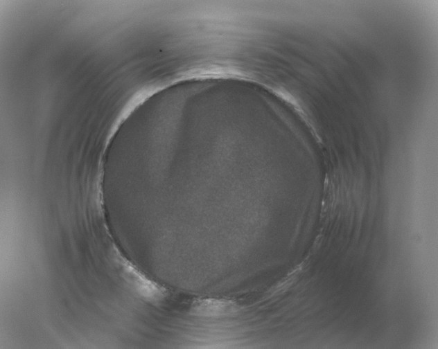 X0000078021374200611101836