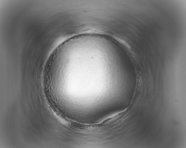 X0000078021375200611101836