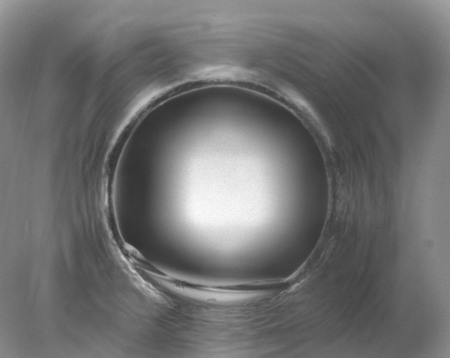 X0000078021376200611101836