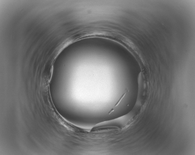 X0000078021377200611101836