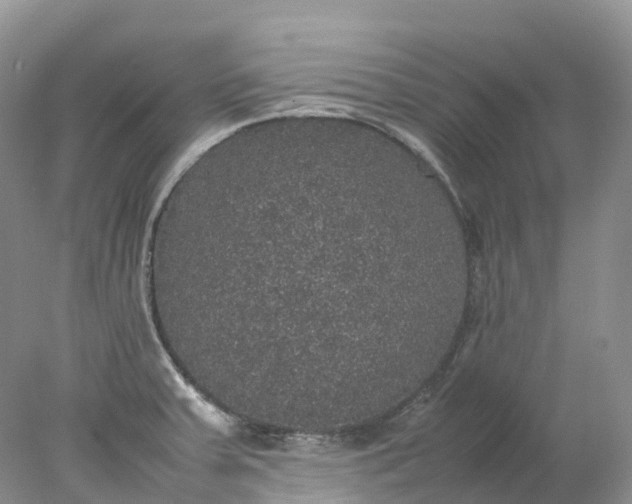 X0000078021379200611101835